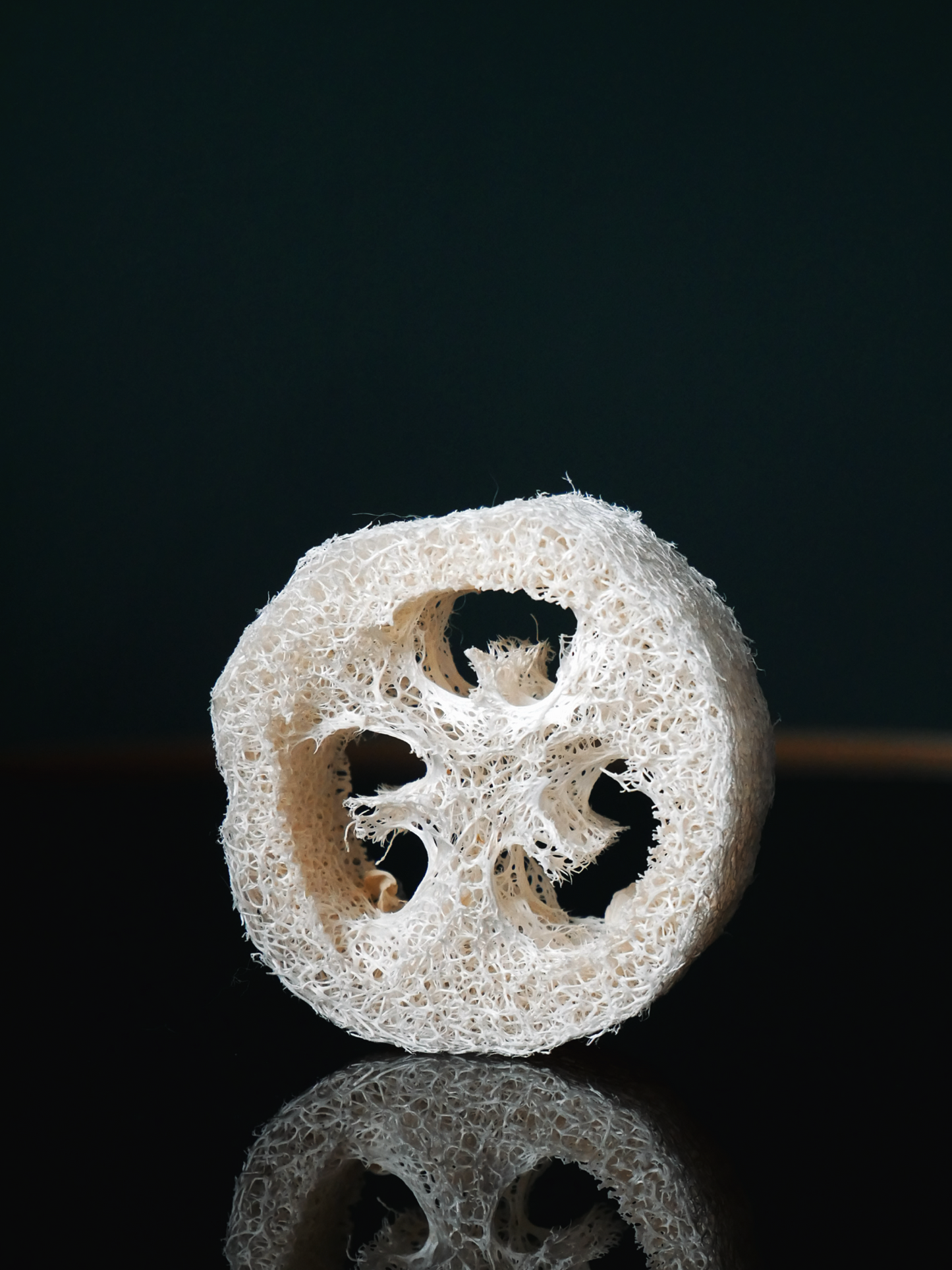 Luffa Seifenablage LOU