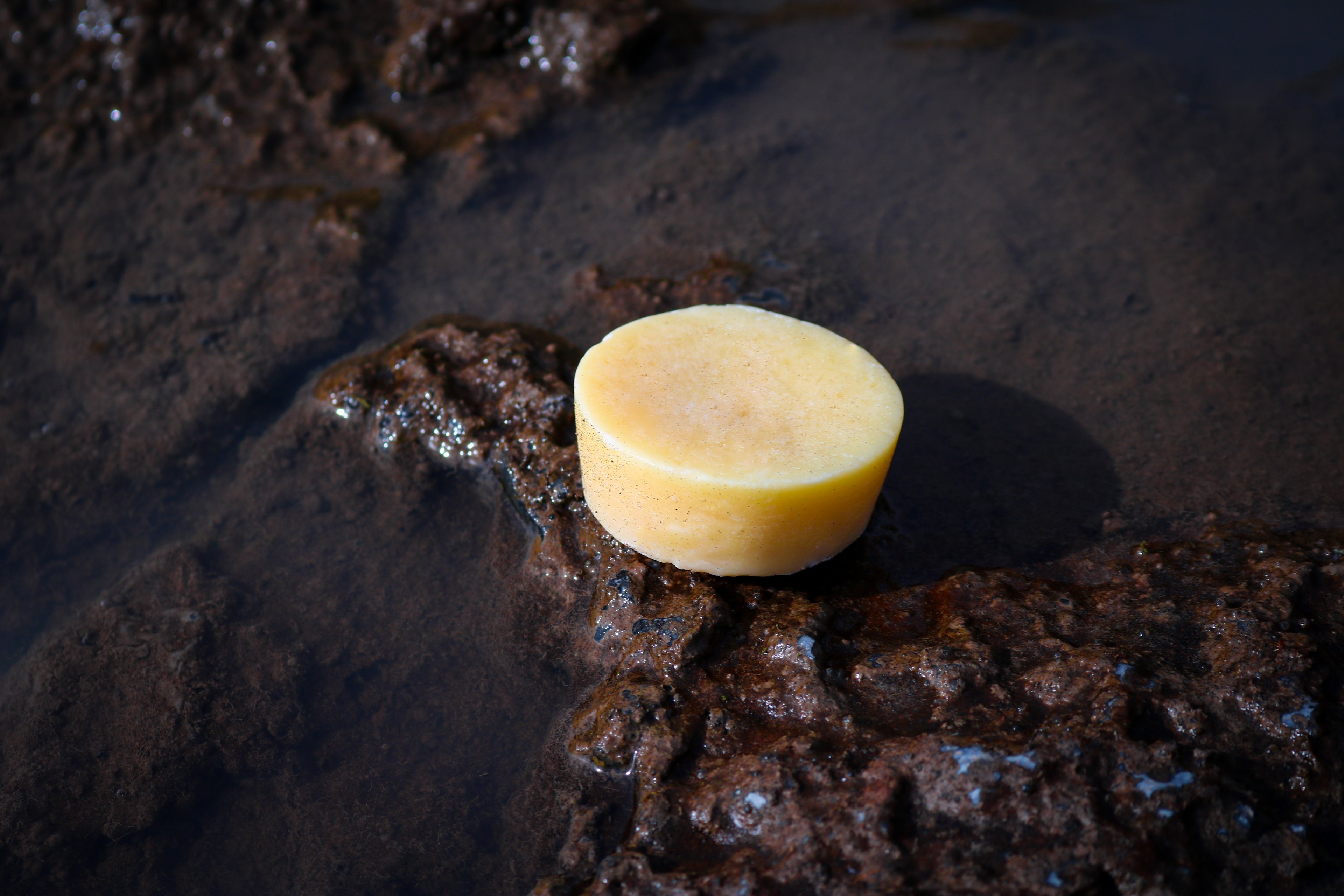 veganer-conditionerbar-feiner-fritz-ohne-palmöl-liegend-auf-steinen-am-strand